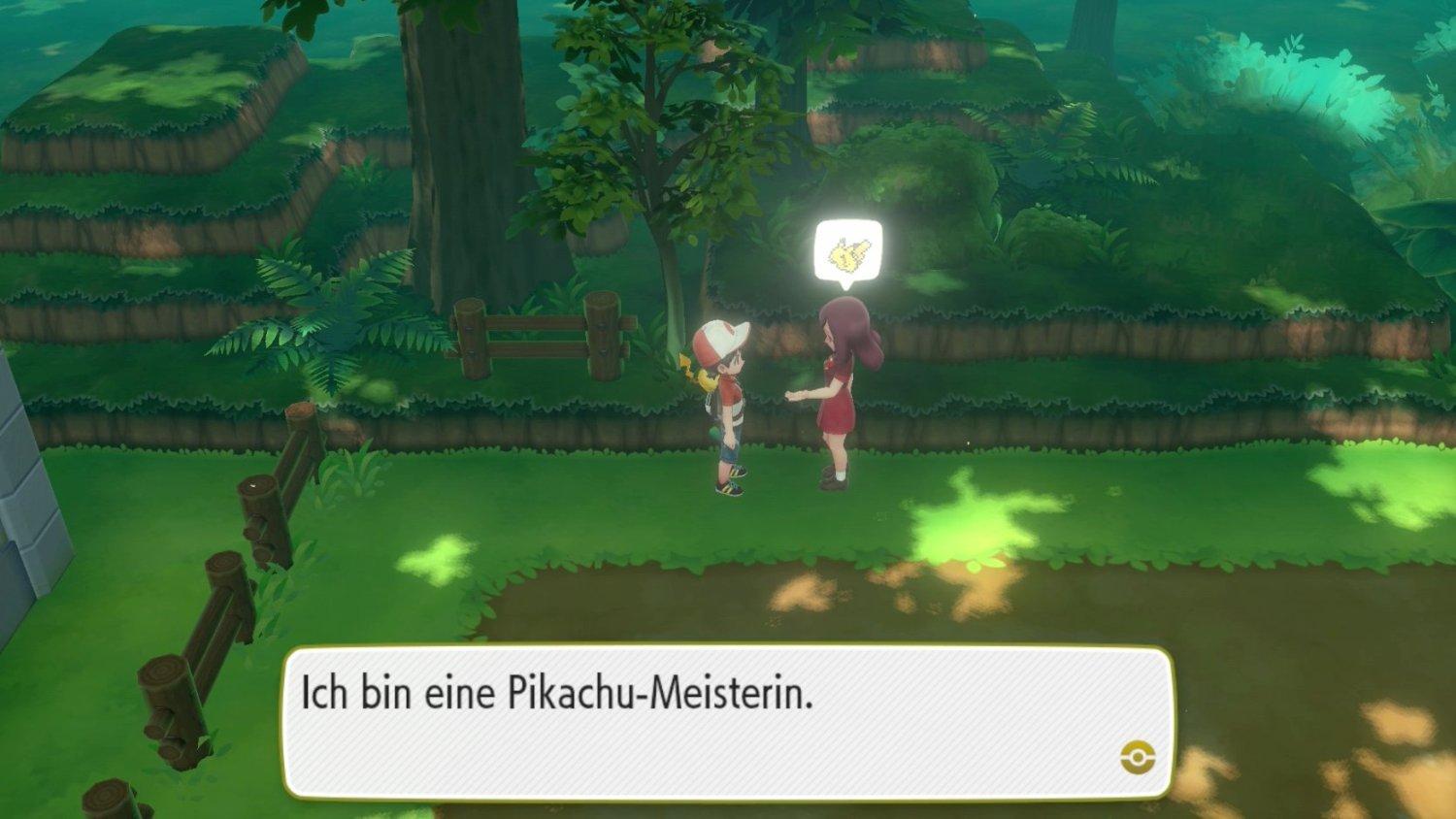 Pokemon_LetsGO_Meistertrainer.jpg