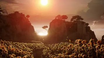 sunflower
