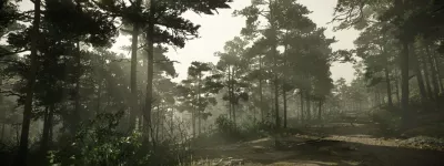 forest mood foggy4