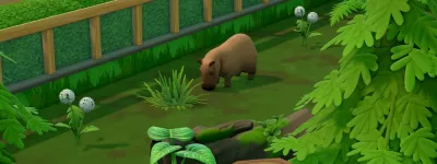 two point museum   zooseum  