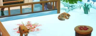 two point museum   zooseum  