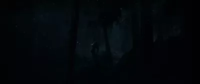 until dawn
